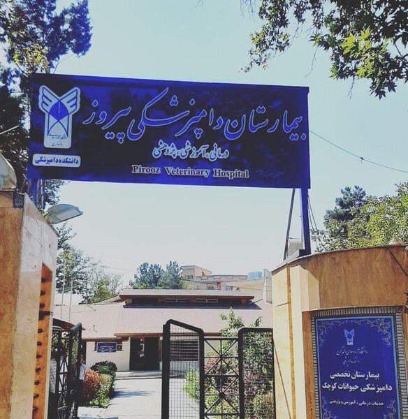 عکس دانشگاه آزاد گوهردشت کرج