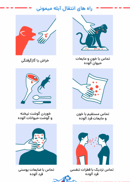علائم عکس آبله میمون