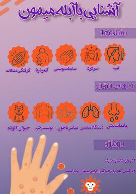 علائم عکس آبله میمون