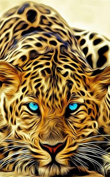 دانلود عکس ببر برای پروفایل
