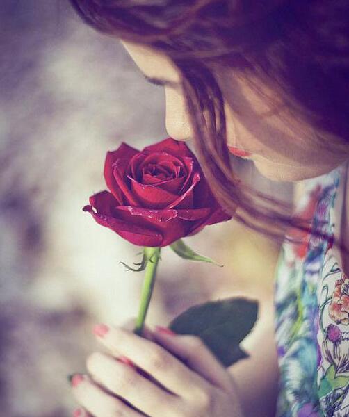 گل عکس پروفایل واتساپ دخترانه
