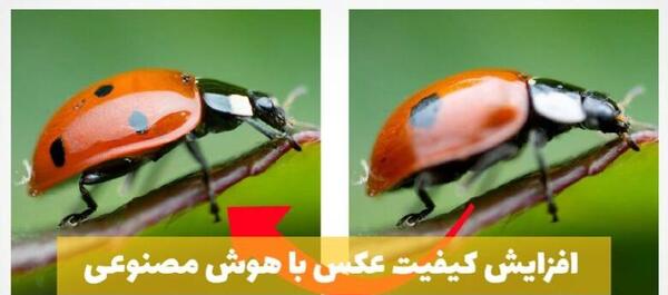 افزایش کیفیت عکس با هوش مصنوعی رایگان