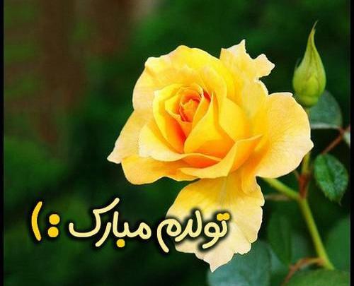 دانلود عکس تولد یکی نزدیکه
