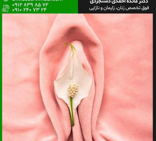 رحم عکس واضح از زگیل تناسلی زنان نی نی سایت