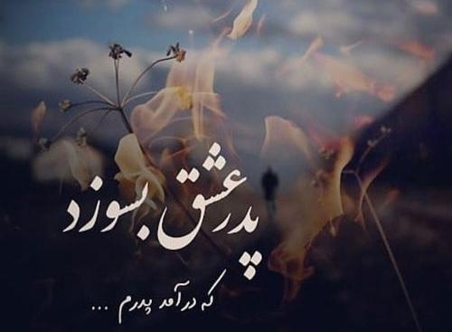عکس پروفایل شهریار
