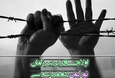 عکس تورک اوشاخلاری