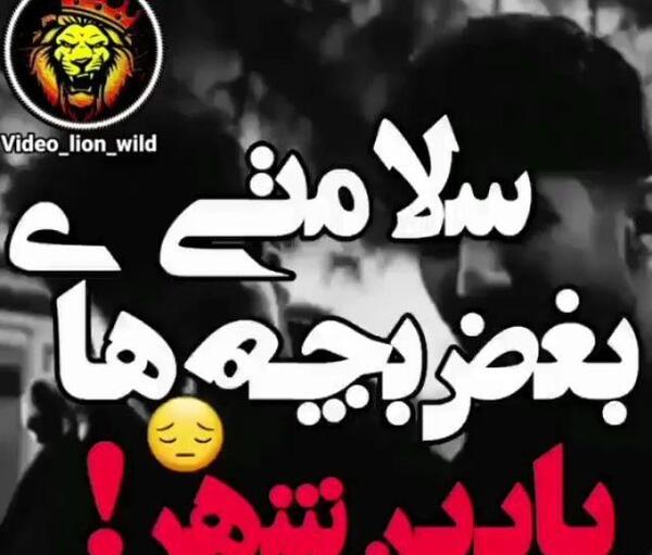 عکس تورک اوشاخلاری