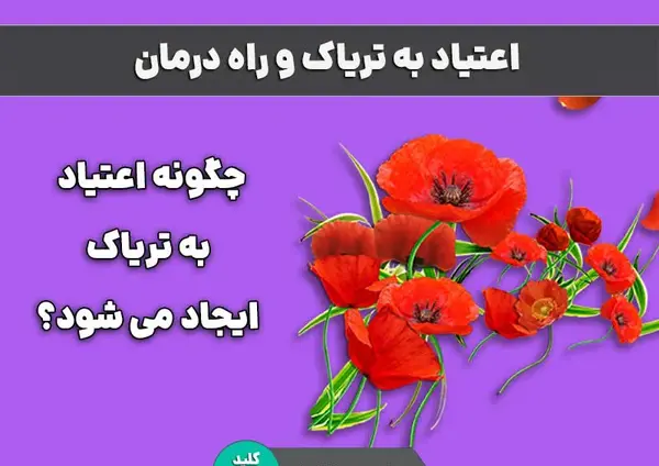 عکس تریاک زرد اصل