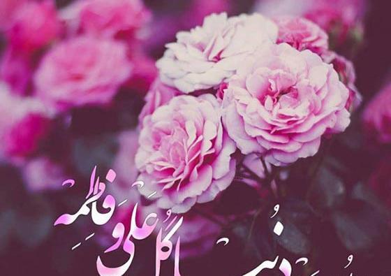 عکس های تولد فاطمه حسینی