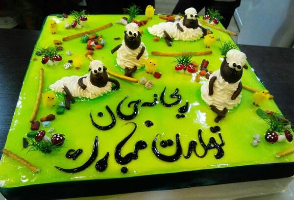 عکس تولد حامد جان