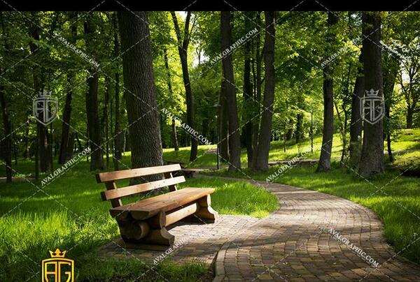 عکس نیمکت تنهایی