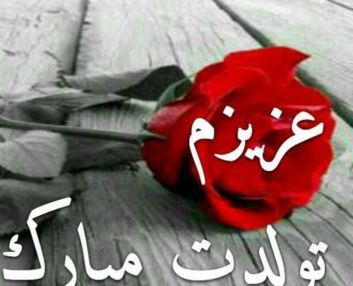 عکس کیک تولد نسرین جان تولدت مبارک