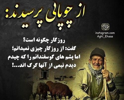 عکس پروفایل دورویی آدم ها