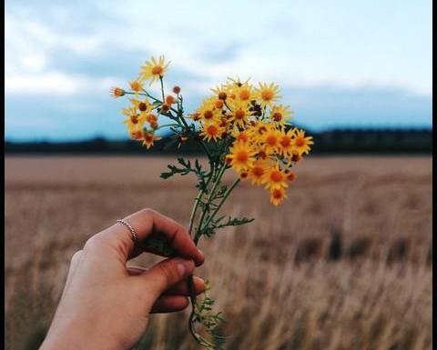 عکس دست زخمی برای پروفایل دخترونه