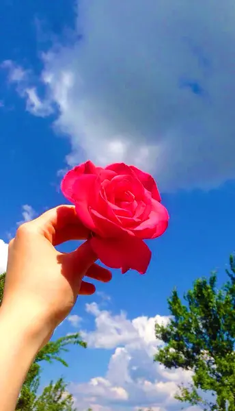 عکس پروفایل دخترونه پینترستی