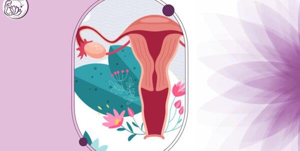 عکس رنگی رحم نرمال