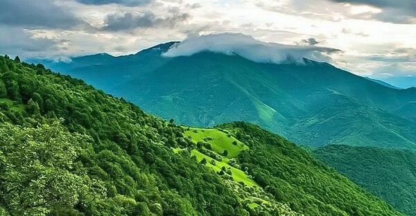 عکس جنگل شمال ایران