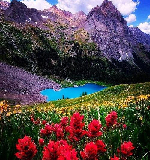 عکس تابستان برای پروفایل واتساپ