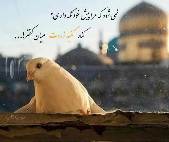 عکس امام رضا برای پروفایل واتساپ