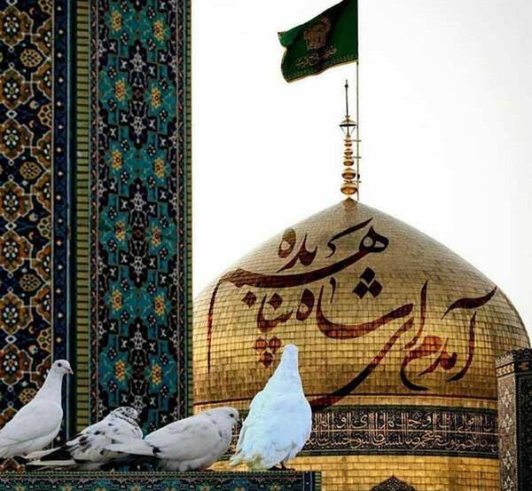 عکس حرم امام علی با متن