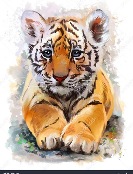 عکس نقاشی یک ببر