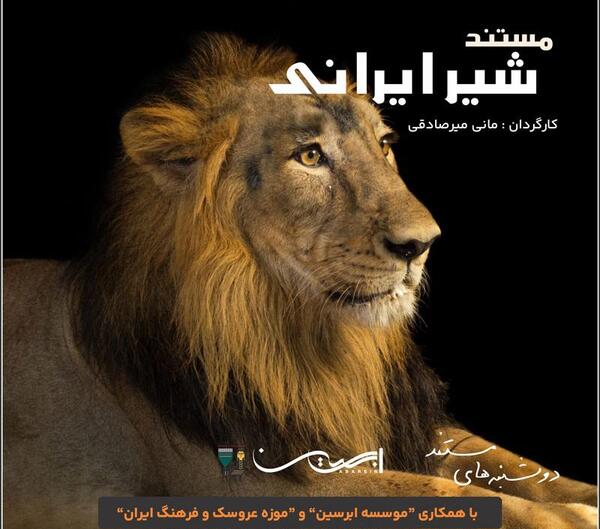 عکس های ببر و شیر