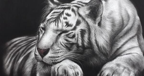 عکس نقاشی ببر سیاه