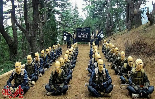 عکس جنگل افغانستان