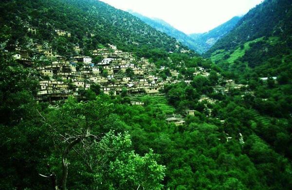 عکس جنگل افغانستان
