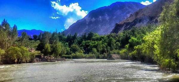 عکس جنگل افغانستان