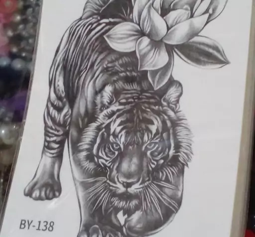 عکس گل ببر