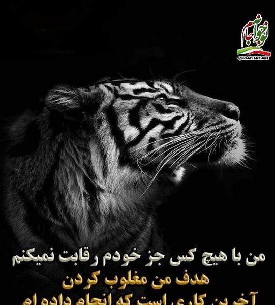 عکس ببر برای پروفایل با نوشته