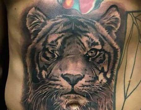 عکس ببر روی صورت