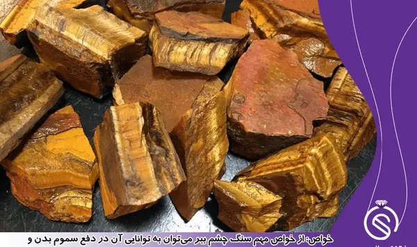 عکس ببر چشم قرمز