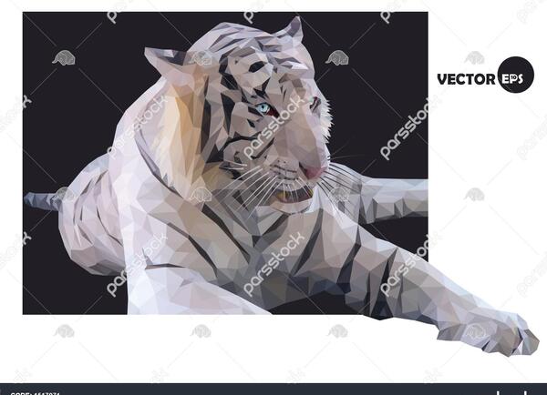 عکس ببر سیاه برای پس زمینه