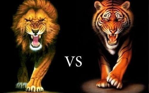 عکس ببر جنگی