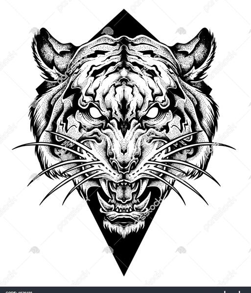 عکس تاتوی ببر