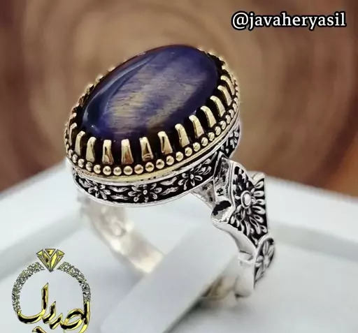 عکس ببر آبی واقعی