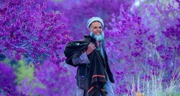 عکس های پروان افغانستان