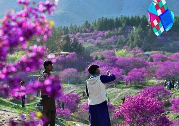 عکس های پروان افغانستان