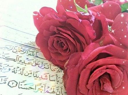 عکس گل و قرآن برای پروفایل واتساپ