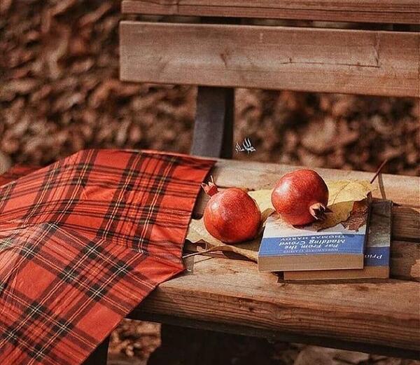 عکس بدون متن برای شب یلدا