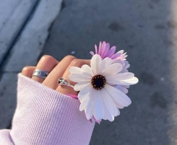 عکس بدون متن برای شاد