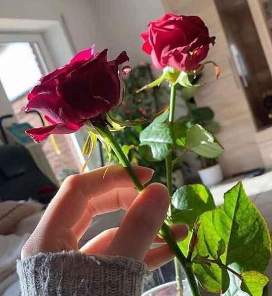 عکس بدون متن برای شاد
