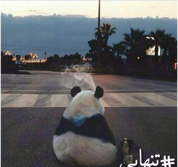 عکس بی حوصلگی بدون متن