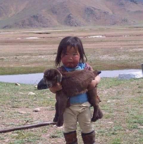 عکس بچه افغانی ها