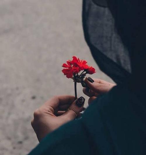 عکس بدون متن زیبا برای استوری