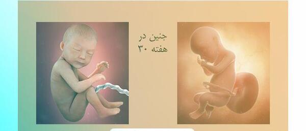 عکس بچه جنین