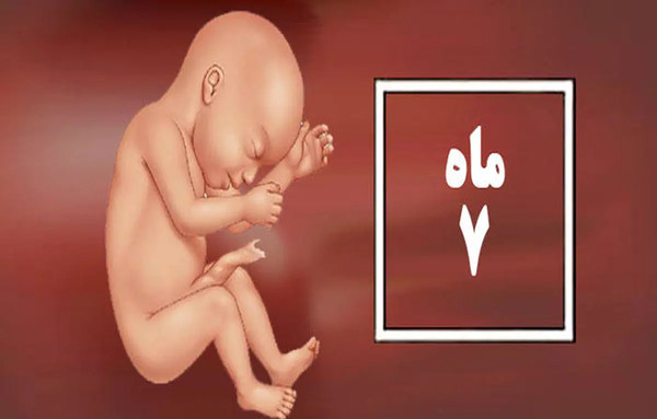 عکس بچه جنینی