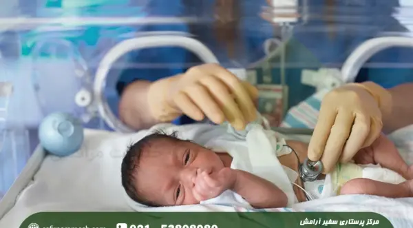 عکس بچه های نارس هشت ماهه